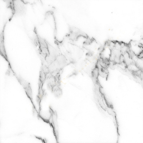 雪(xuě)花(huā)白(bái)8866